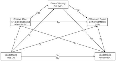 Enigma of social media use: complexities of social media addiction through the serial mediating effects of emotions and self-presentation